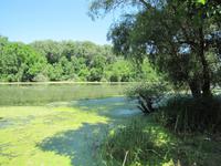 Radtour: Poroszló – Tiszafüred (55 km)