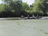 Bootstour auf der Theiss