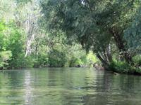 Bootstour auf der Theiss