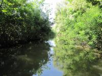 Bootstour auf der Theiss