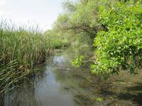 Bootstour auf der Theiss