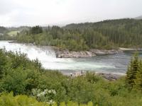 Laksforsen