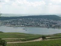 Blick vom Niederwalddenkmal auf den Rhein