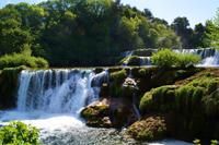 NP Krka