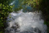 NP Krka