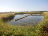 Salzgärten von Guérande