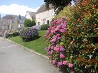 Blumenpracht in Chartres