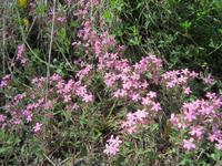 Kleine Wanderung im Landwassertal
