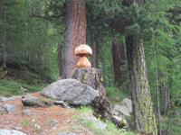 Wanderung von der Riffelalp nach Zermatt