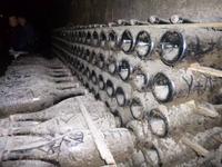 Normandie Gartenreise Juni 2014 (109)