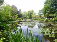 Normandie Gartenreise Juni 2014 (128)