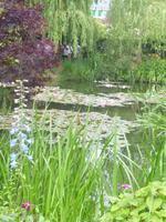 Normandie Gartenreise Juni 2014 (129)