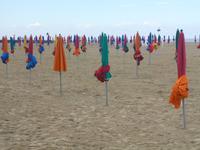 Normandie Gartenreise Juni 2014 (184)