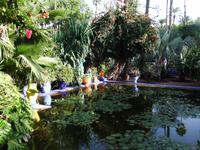 Jardin de Majorelle