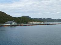Lysefjord - Fischzuchtanlage