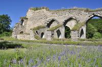 Alvastra Klosterruine