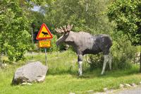 Elchpark Grönåsens - Kosta