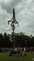 Aufstellen der Mittsommerstange im Skansen