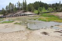 Yellowstone National Park