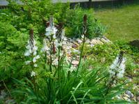 Blumenkunde im Botanischen Garten