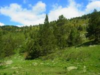 Wanderung durch das Vall de Sorteny