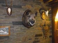 Restaurant in Os de Civis