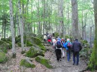 Wanderung durch den Wolfspark