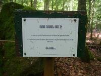 Wer bin ich - auf Französisch