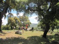 Grazalema - Single-Wanderreise Andalusien