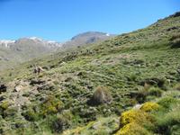 Sierra Nevada - Las Alpujarras - Single-Wanderreise Andalusien