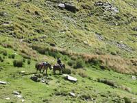 Sierra Nevada - Las Alpujarras - Single-Wanderreise Andalusien