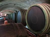 im Erzbischöflichen Weinkeller Kromeriz