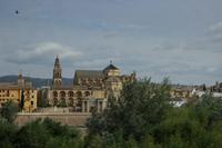 Cordoba