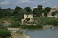 Cordoba
