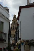 Blick auf die Mesquita