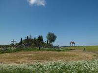 Baltikum Juni 2014 126, Berg der Kreuze