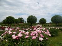 im Park des Schlosses