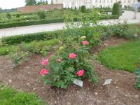 im Park des Schlosses