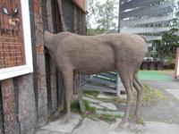 Elch in der Storgata von Lillehammer