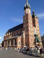 Rynek