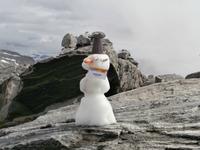 auf dem  Dalsnibba ein Schneemann