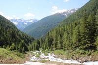 Wanderung durch das Val Di Rabbi