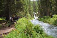 Wanderung zu den Vallesinella-Wasserfällen