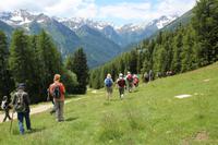 Auf den Bergen von Pejo