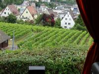 Weinberge von Stuttgart