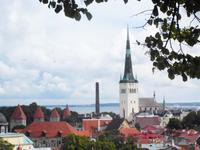 Blick auf Tallinn