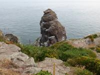 Cap Frehel - Fauconniere Felsen