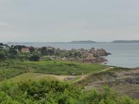 Granitküste - am Zöllnerpfad in Ploumanac´h 