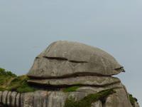 Ploumanac´h - Granitküste - Schildkröte