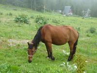 Rila National Park - Impressionen